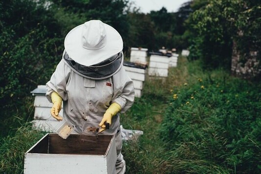 Подготовка пасеки к медосбору, перевозка пчел, оценка урожайности лесов и лугов различных видов